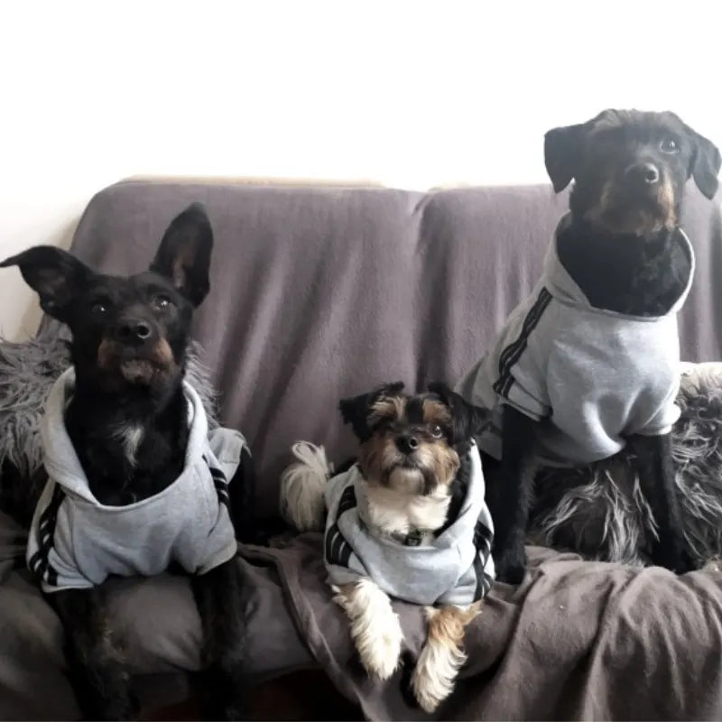 Adidog Dog Hoodies