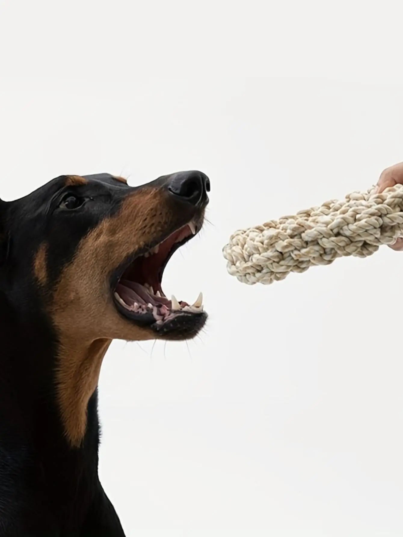 Pet Dog Rope Toy