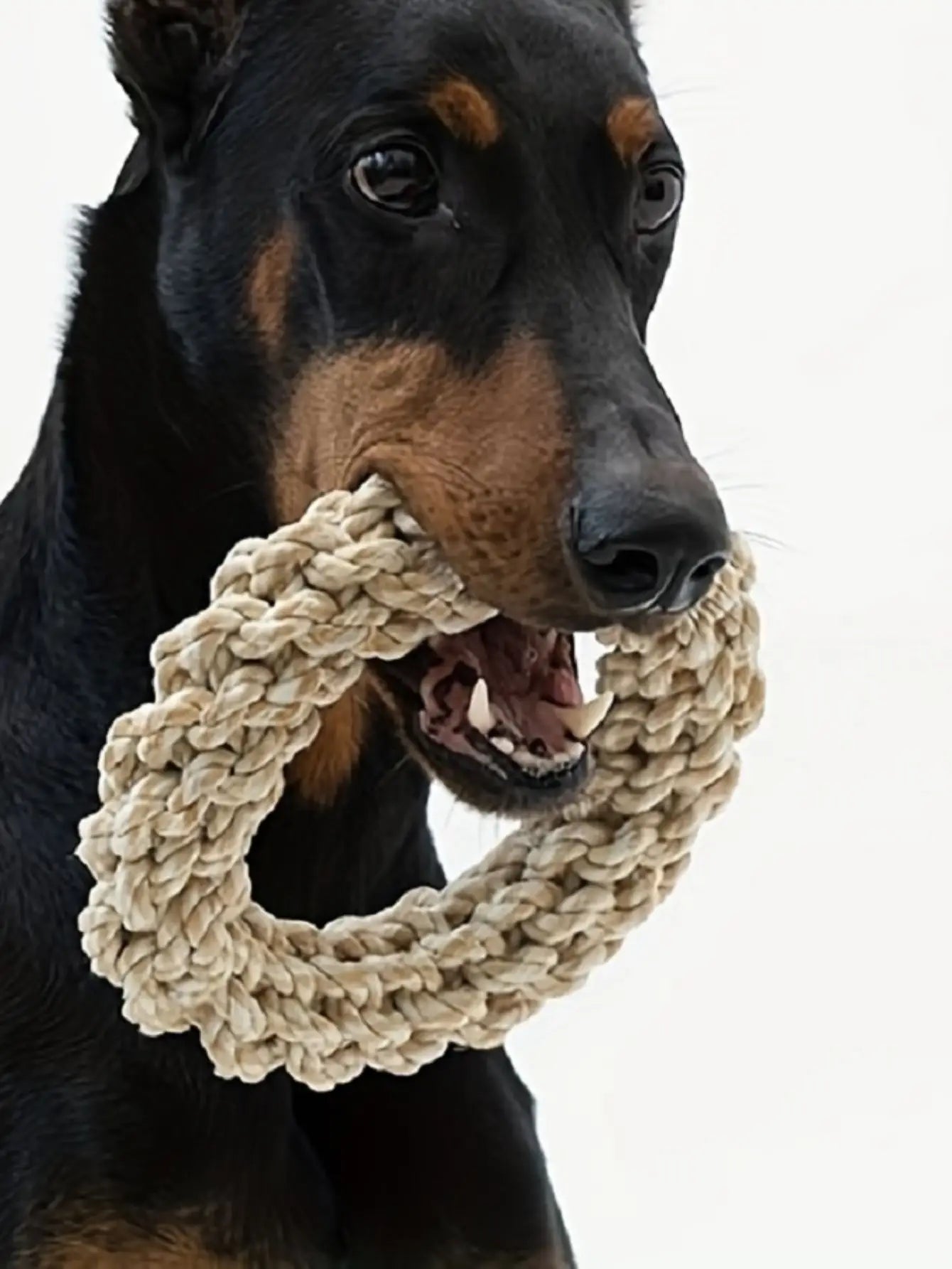 Pet Dog Rope Toy